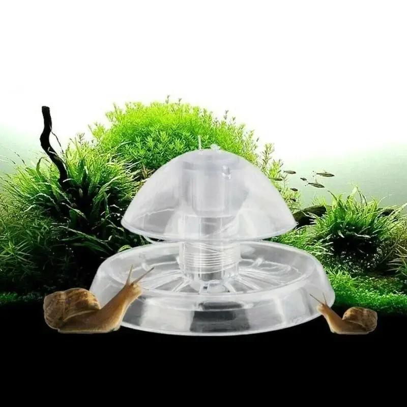 Planted Aquarium With Fish - 2026년형 새로운 6/8CM 투명 플라스틱 달팽이