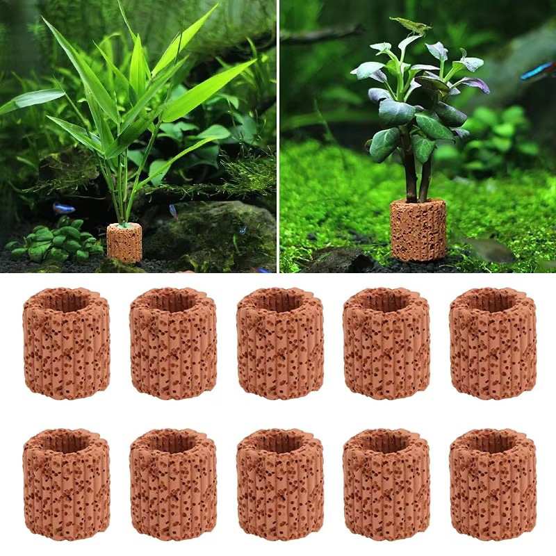 Aquarium Plant Display - 수족관 풍경을위한 수생 식물 고정 링