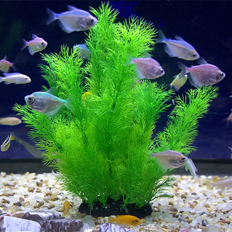 Aquarium Planted Substrate - 인공 수족관 장식 식물 수중 물