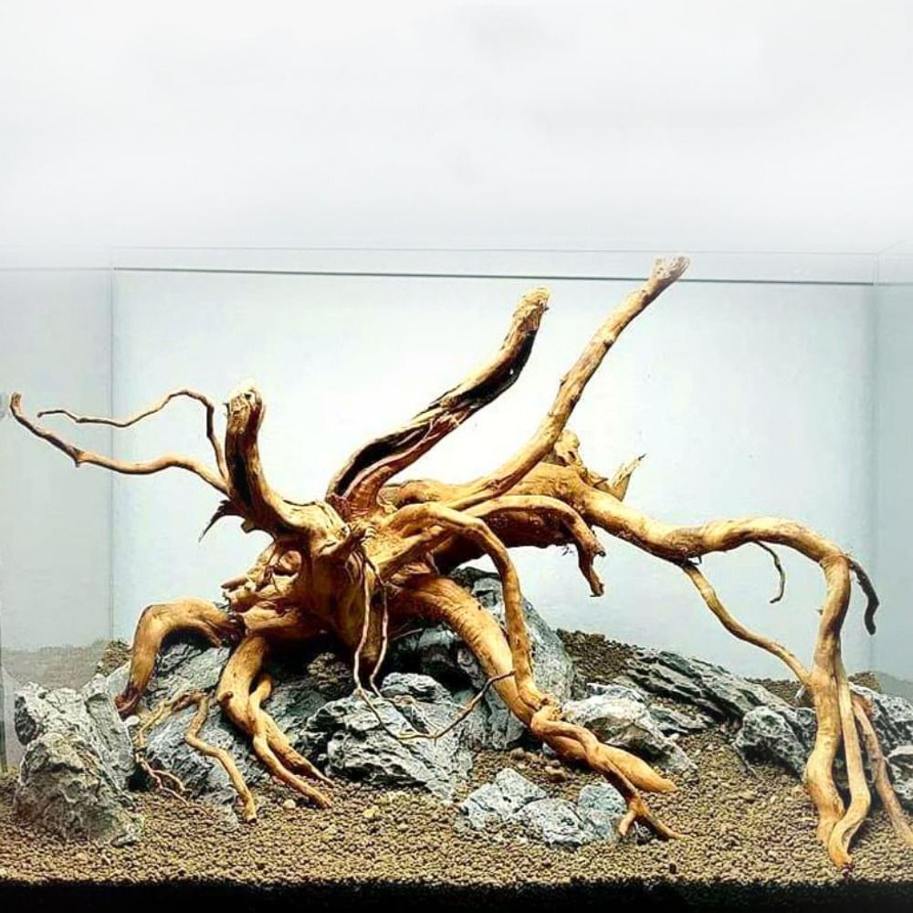 Aquarium Planted Substrate - 천연 나무 줄기 수족관 장식, 나무