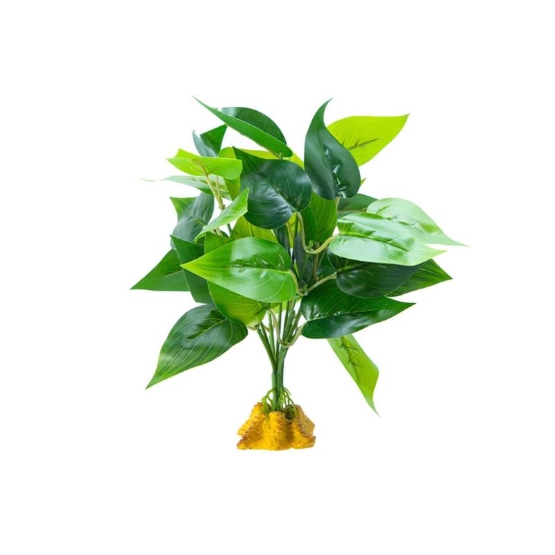 Planted Aquarium With Fish - 인공 매달려 식물 생선 수족관 장식
