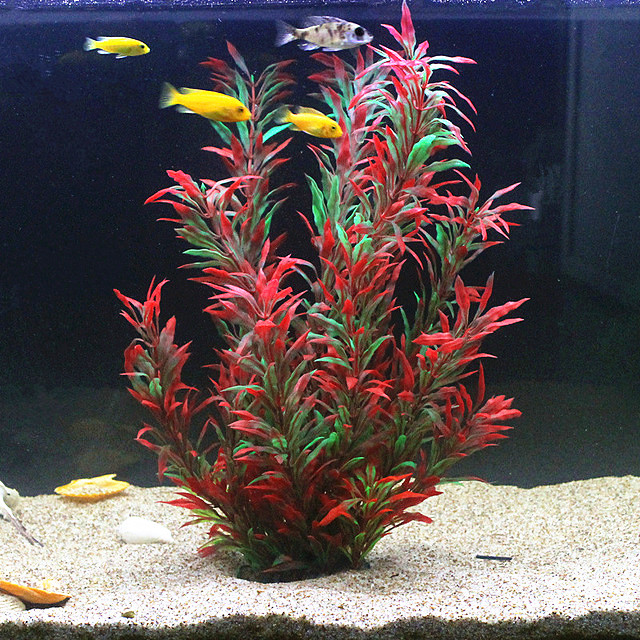 Aquarium Plant Display - 50CM 인조 어항 희귀 식물 수족관