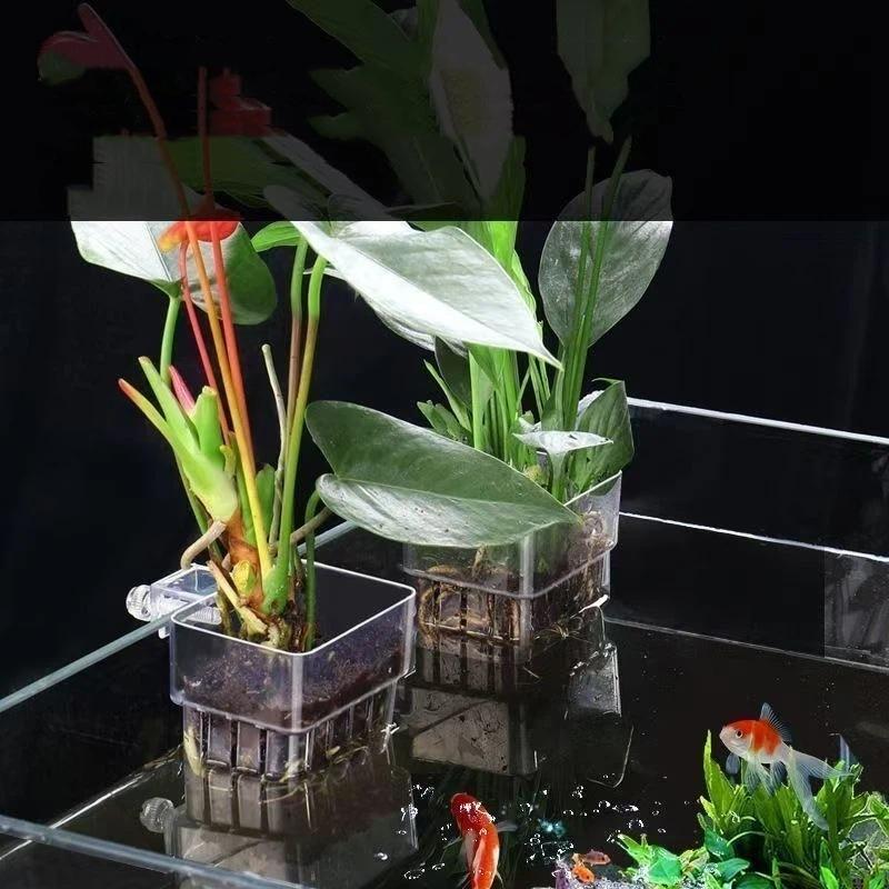 어항용 투명 걸이식 수경 재배 화분, 간편 설치, 수족 - Aquarium Plant Easy To Grow 리뷰 및 가격