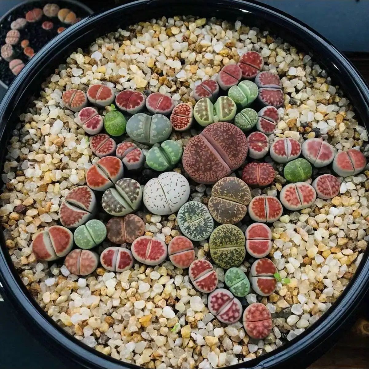 1pc-250g 천연 크리스탈 자갈 돌 마이크로 조경  - Aquarium Planted Sand 리뷰 및 가격