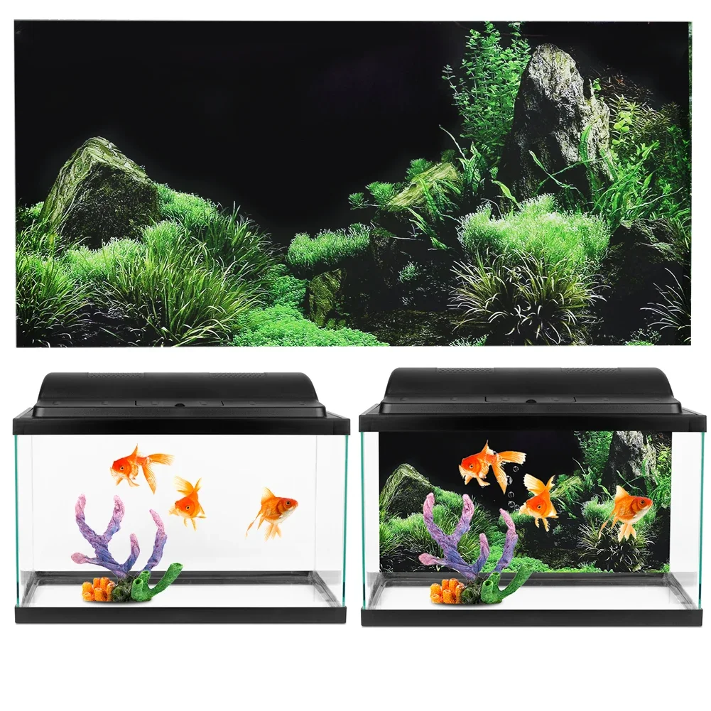 수족관 배경 3D 스티커 포스터, 수족관 배경 액세서리 - Aquarium Plant Display 리뷰 및 가격
