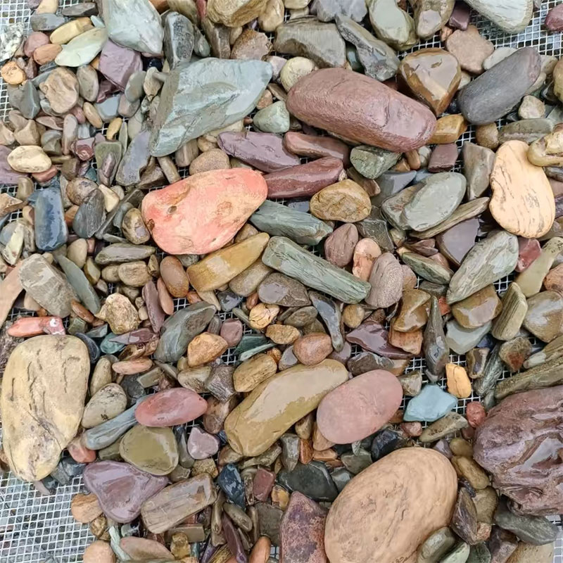 500g 물고기 탱크 바닥 모래 돌 수족관 풍경 네이티 - Aquarium Planted Sand 리뷰 및 가격