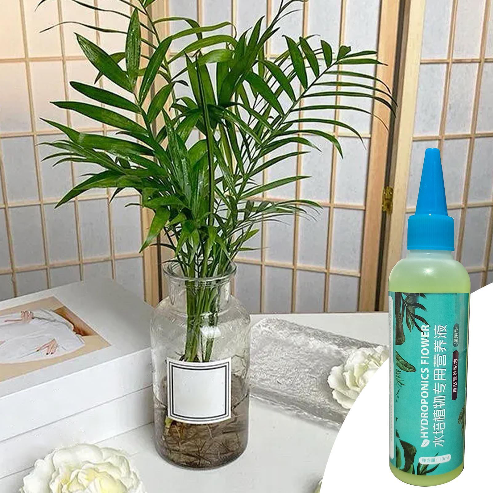 수경재배용 식물 영양제 110ml 천천히 방출되는 다목 - Liquid Fertilizer All In 리뷰 및 가격