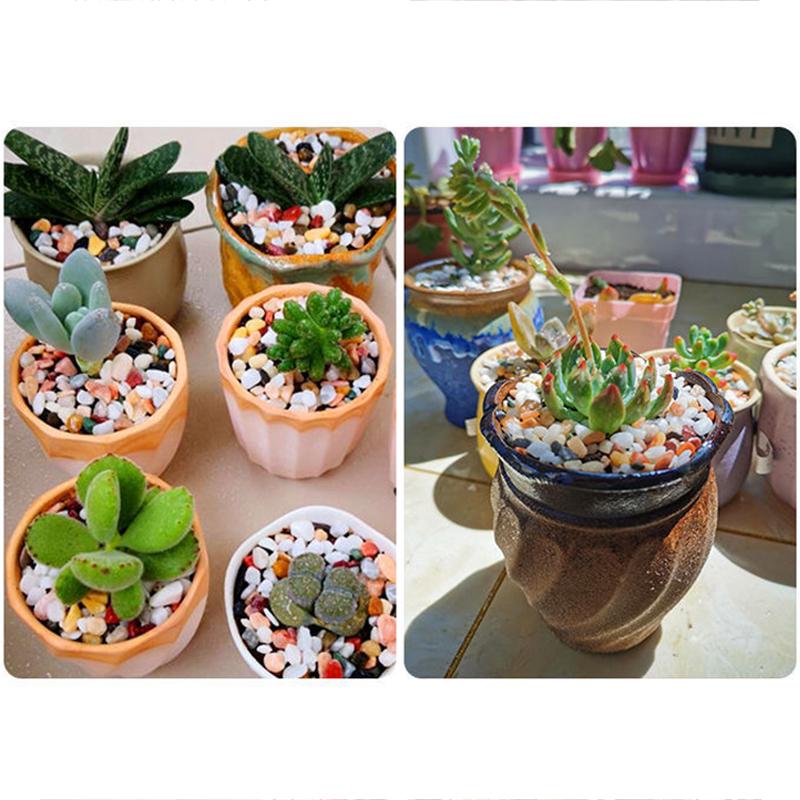 5mm 천연 수족관 모래 200g-800g 물고기 탱크 - Aquarium Planted Sand 리뷰 및 가격