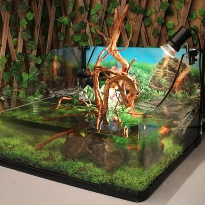 천연 나무 줄기 유목 수족관 어항, 파충류 실린더 뿌리 - Aquarium Plant Display 리뷰 및 가격