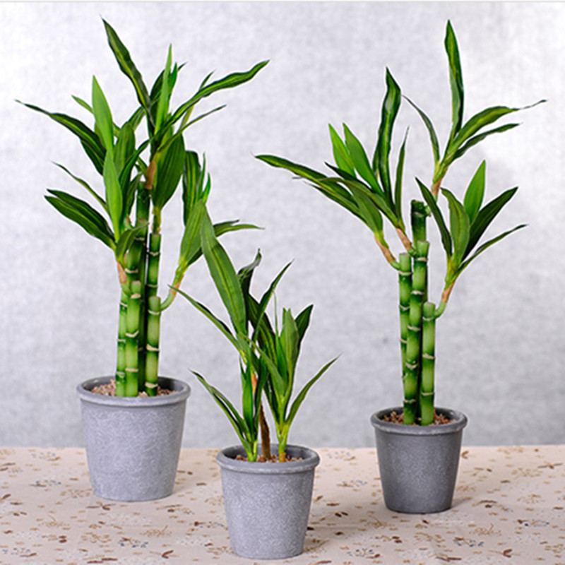 새로운 40cm rFtificial 행운의 대나무 즙이 - Aquarium Plant Display 리뷰 및 가격