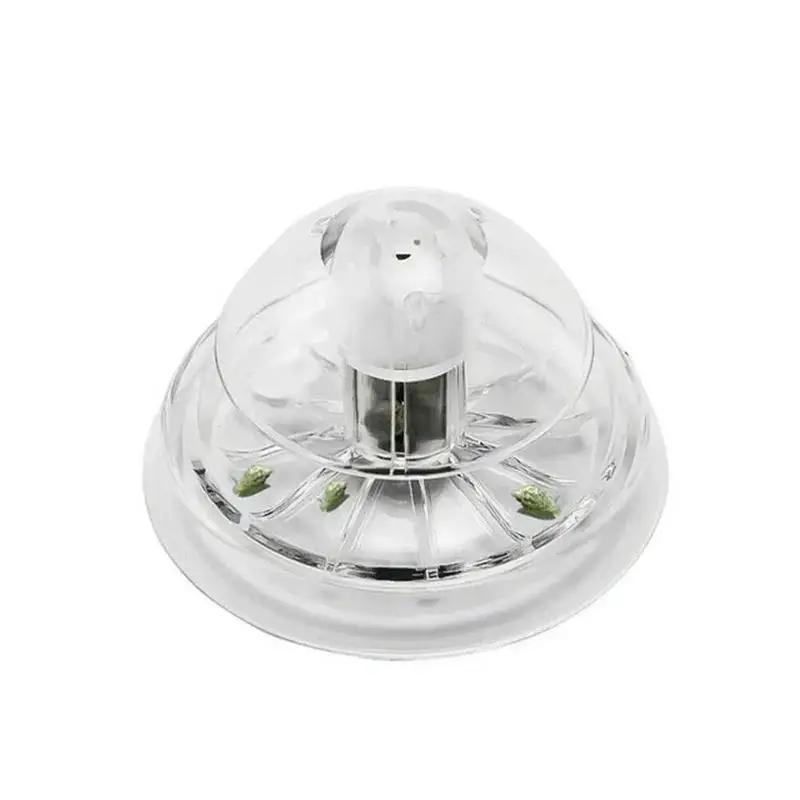 2026년형 새로운 6/8CM 투명 플라스틱 달팽이 트 - Planted Aquarium With Fish 리뷰 및 가격