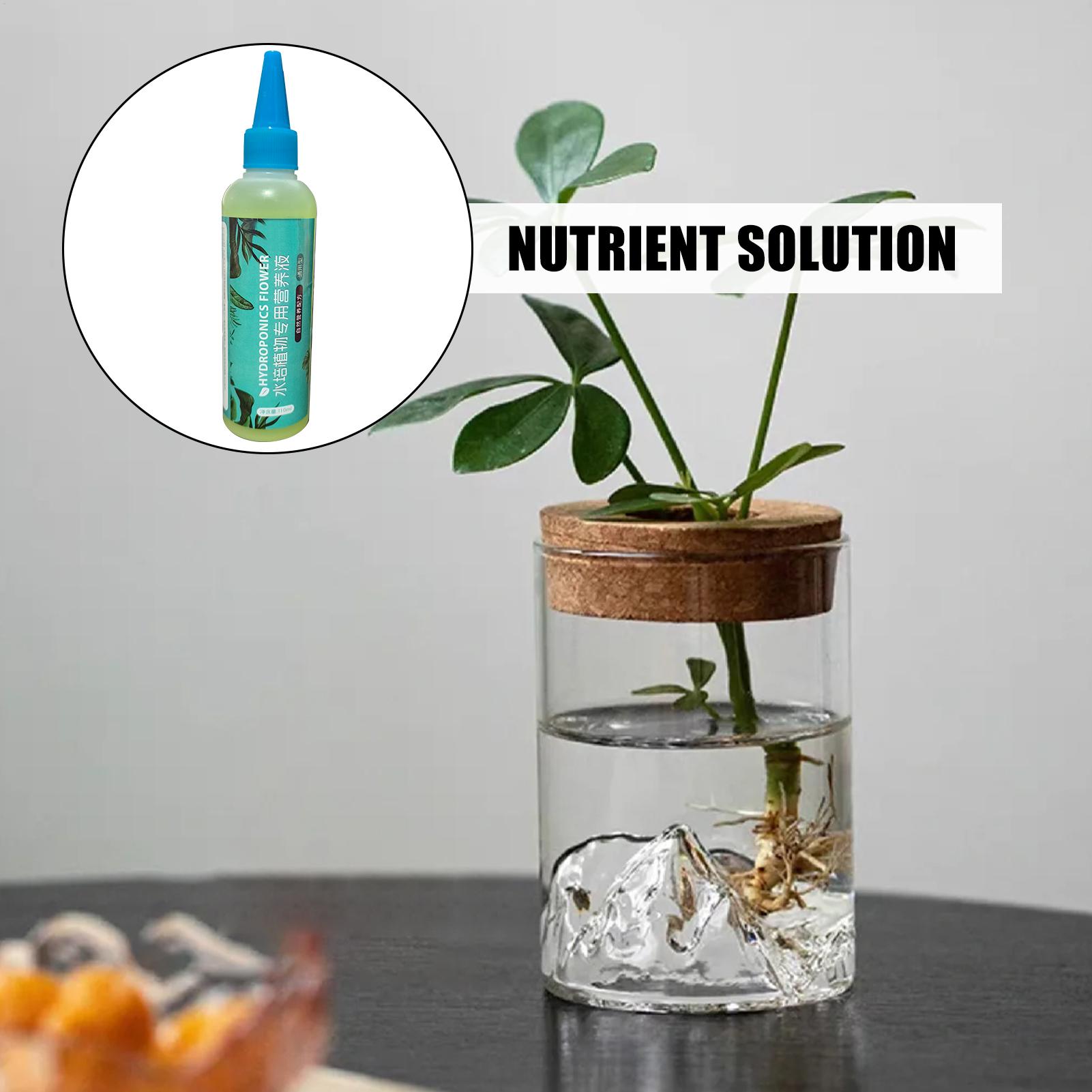 110ml 수경재배 식물 영양액 천천히 풀리는 다목적  - Liquid Fertilizer All In 리뷰 및 가격