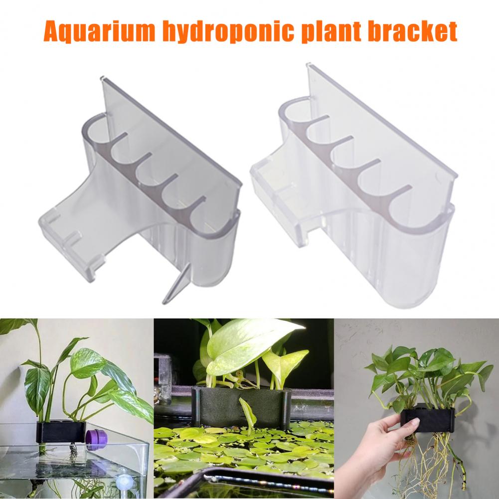 4.5/6.5cm 수족관 식물 홀더 물고기 탱크 식물  - Planted Aquarium With Fish 리뷰 및 가격