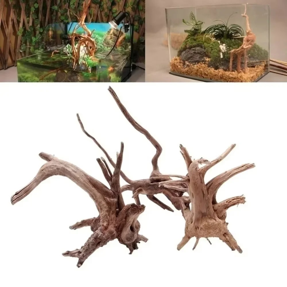 15-20CM 천연 유목 수족관 장식 - 프리미엄 나무 - Aquarium Planted Substrate 리뷰 및 가격