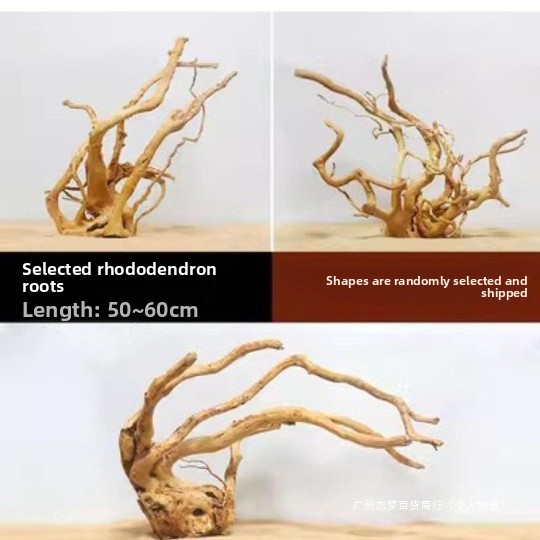 수족관 어항 장식용 자연 유목 가지, 수생 식물 뿌리  - Planted Aquarium With Fish 리뷰 및 가격