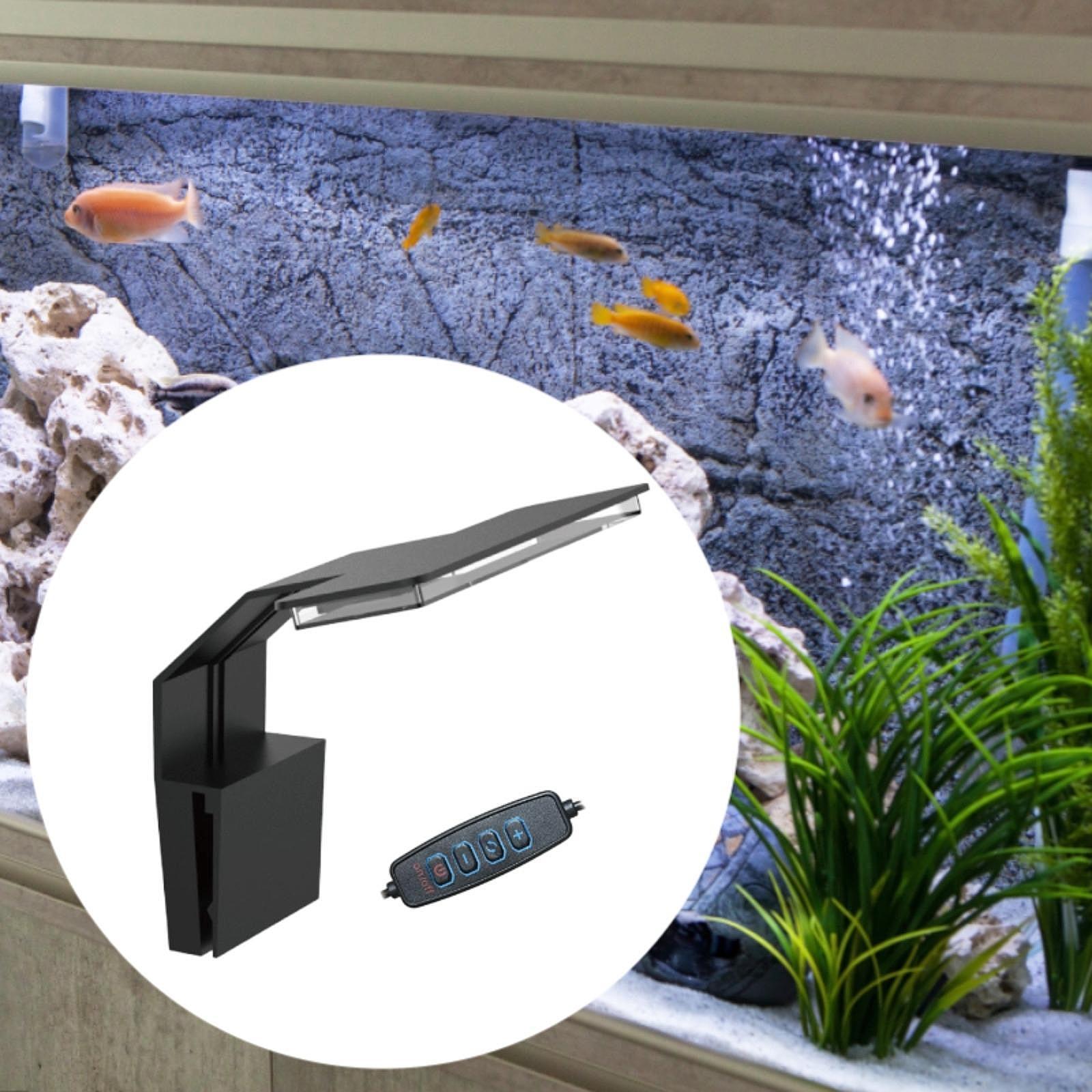 수족관 LED 조명 풀 스펙트럼 USB 전원 어항 식물 - Aquarium Plant Easy To Grow 리뷰 및 가격