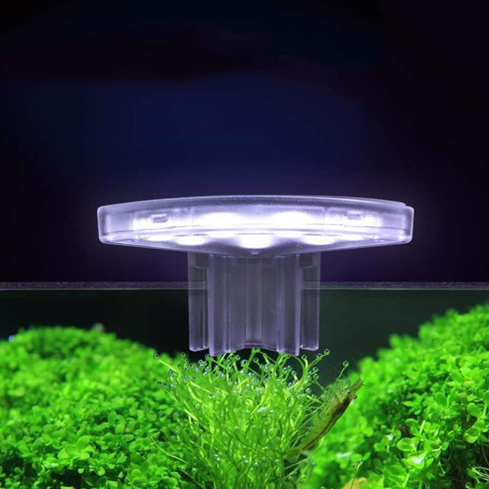LED 식물 성장 램프 에너지 효율적인 방수 성장 램프 - Aquarium Plant Easy To Grow 리뷰 및 가격