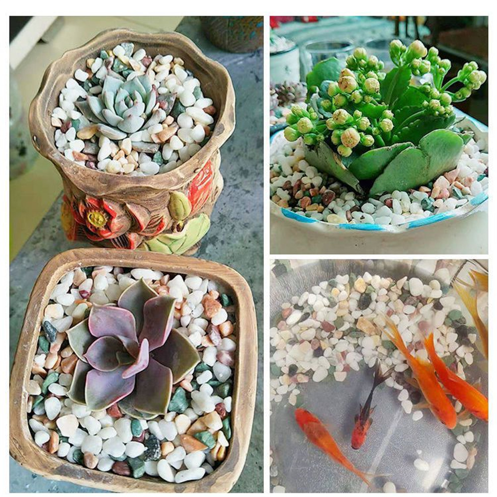 50/100g 천연 크리스탈 자갈 돌 마이크로 조경 정 - Aquarium Planted Sand 리뷰 및 가격