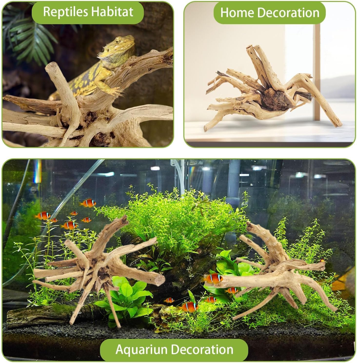 1PC 20-25CM 자연산 유목 스파이더 우드 수족관 - Aquarium Planted Substrate 리뷰 및 가격