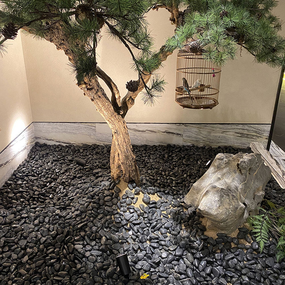 1세트 수족관 자갈 자연 조경석 검정 화분 장식용 자갈 - Planted Aquarium With Fish 리뷰 및 가격