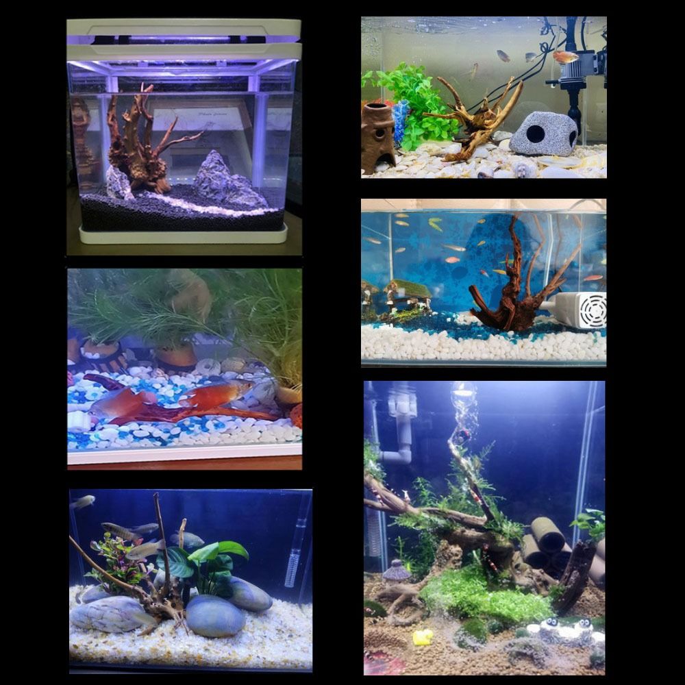 천연 나무 줄기 수족관 장식, 나무 아트워크 장식, 유 - Aquarium Planted Substrate 리뷰 및 가격
