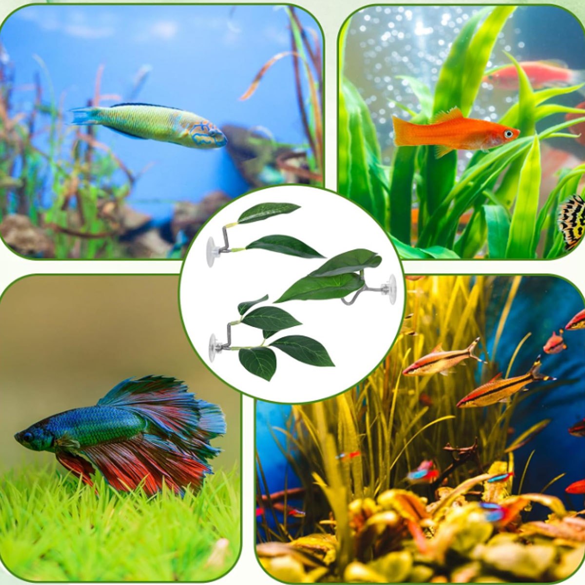 1 PC 베타 물고기 해먹 부드러운 수족관 장식 플라스 - Aquarium Plant Display 리뷰 및 가격