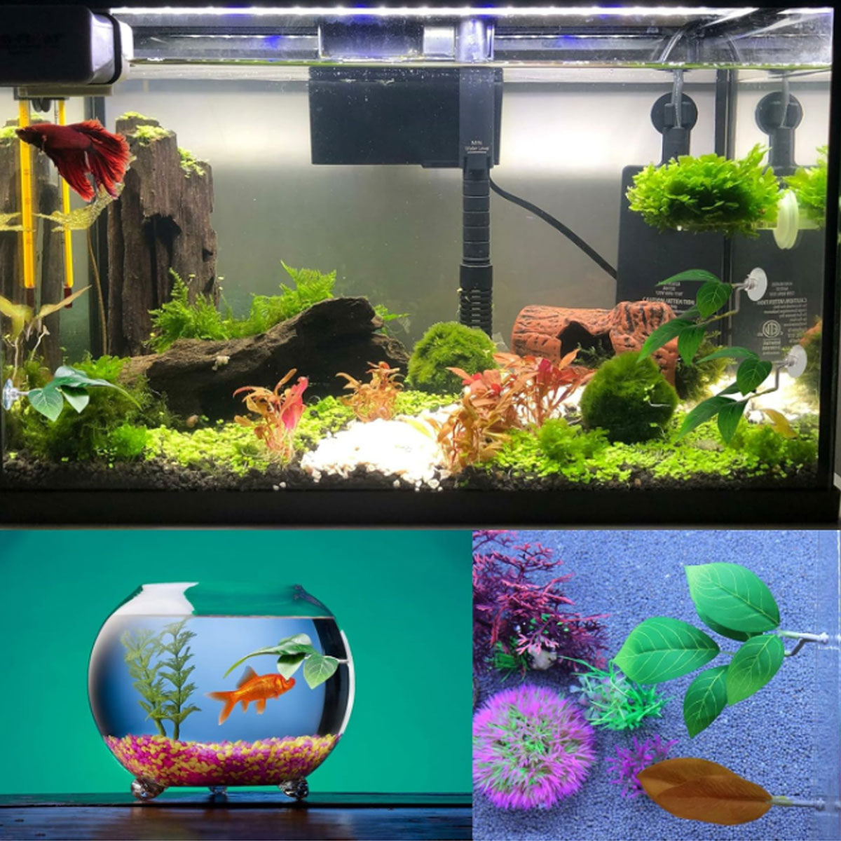 1 PC 베타 물고기 해먹 부드러운 수족관 장식 플라스 - Aquarium Plant Display 리뷰 및 가격