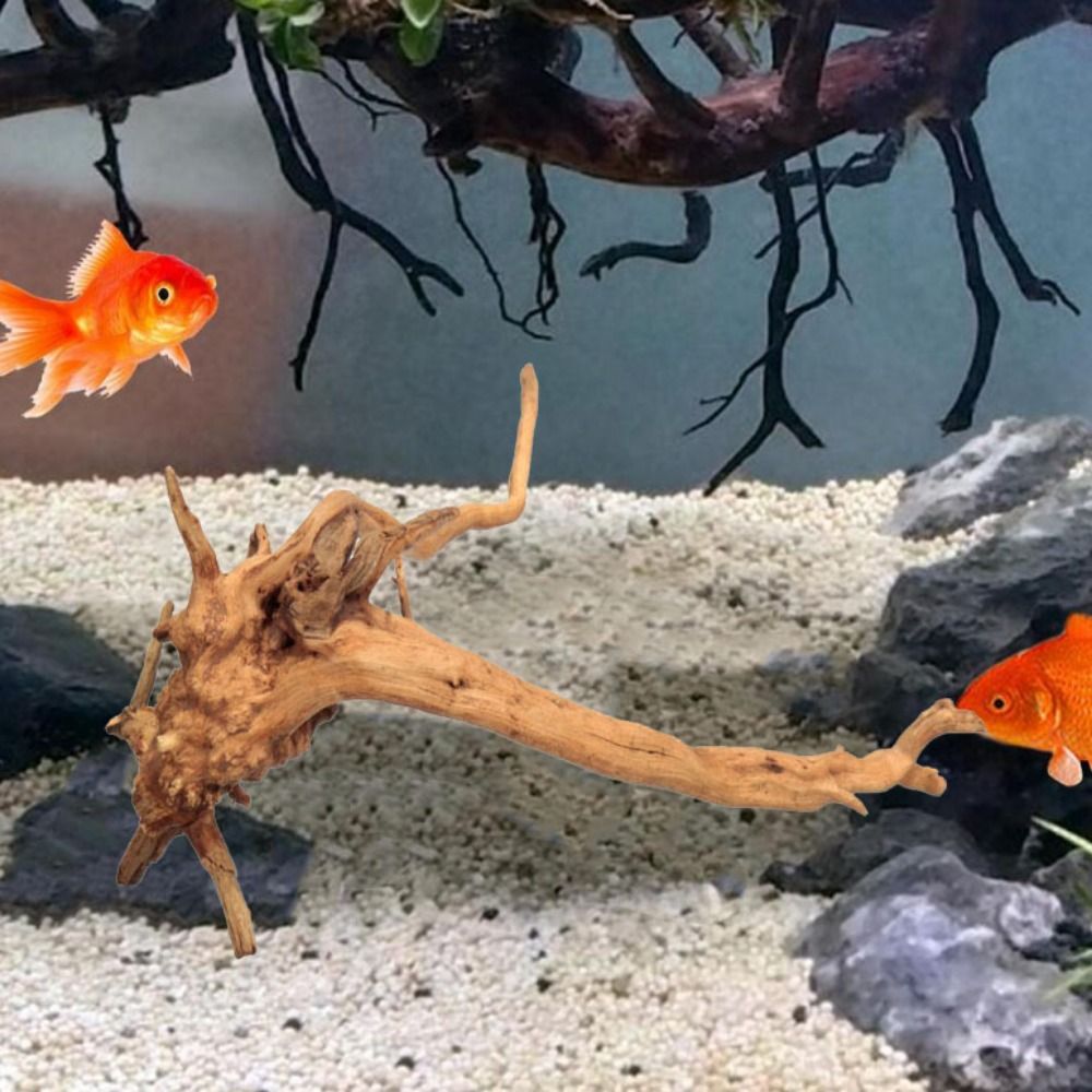 20-25CM 대형 수족관 유목 자연식물 장식 나무 어 - Aquarium Planted Substrate 리뷰 및 가격