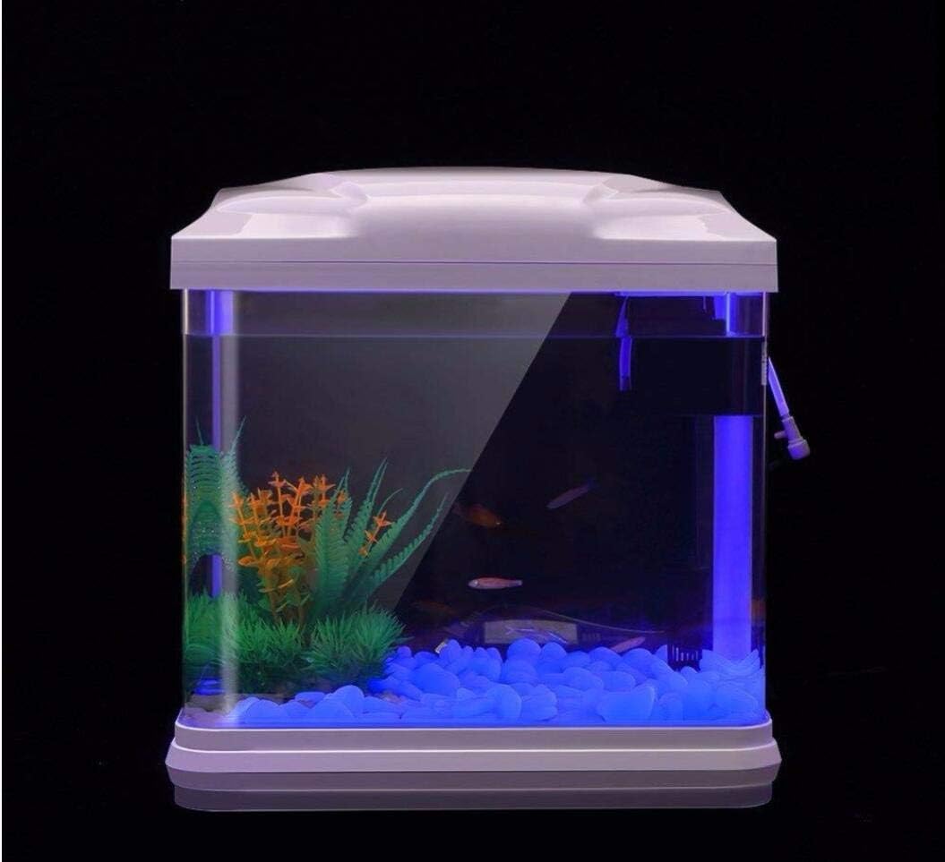 물고기 탱크 바위 정원 물고기 탱크 수족관 식물 냄비  - Planted Aquarium With Fish 리뷰 및 가격