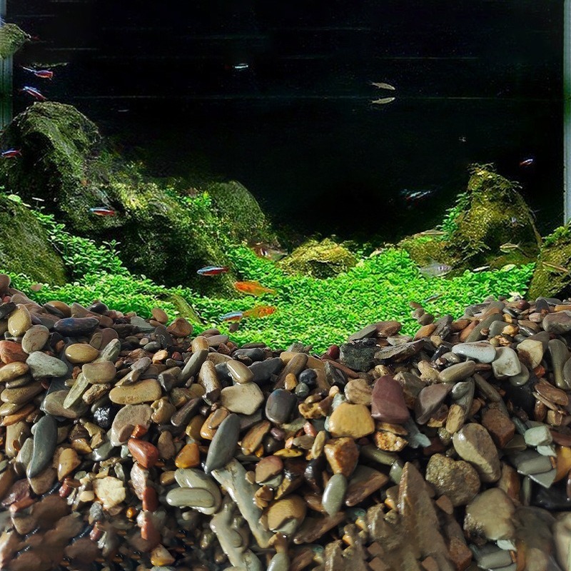 스트림 페블스 수족관 바닥 모래 네이티브 아쿠아스케이프 - Aquarium Planted Sand 리뷰 및 가격