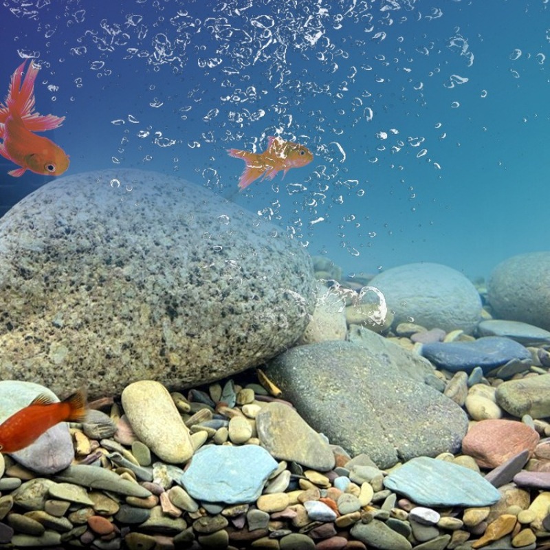 스트림 페블스 수족관 바닥 모래 네이티브 아쿠아스케이프 - Aquarium Planted Sand 리뷰 및 가격