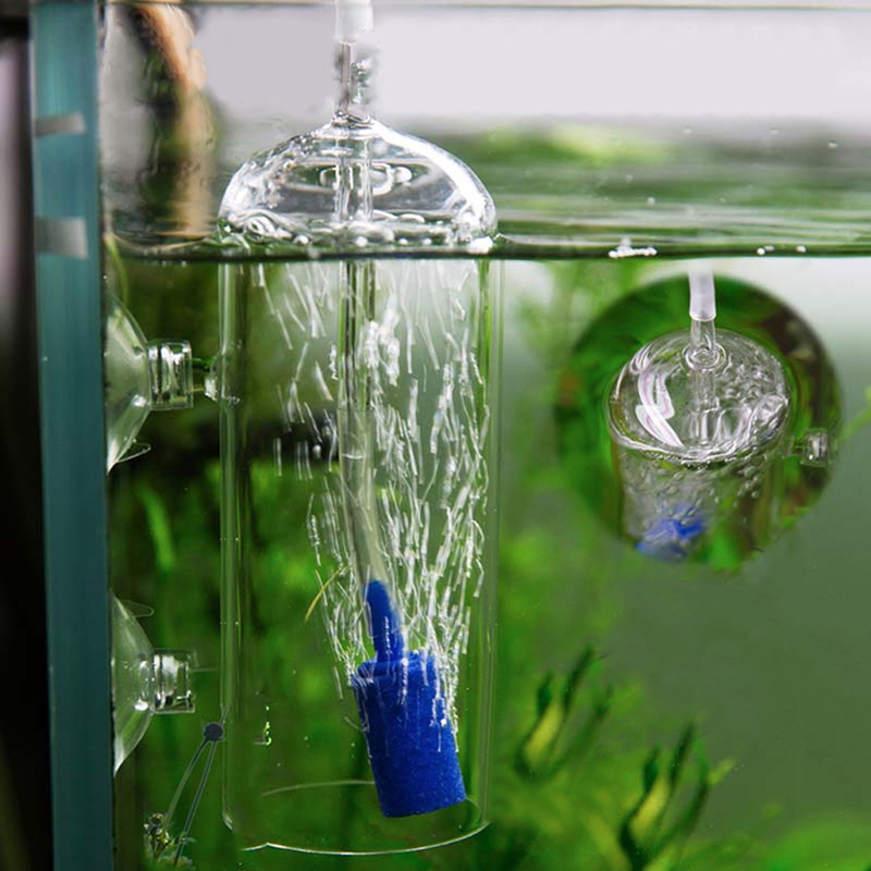 수족관 실린더 모양 에어스톤 미네랄 버블 방출 어항 펀 - Aquarium Lily Pipe 리뷰 및 가격