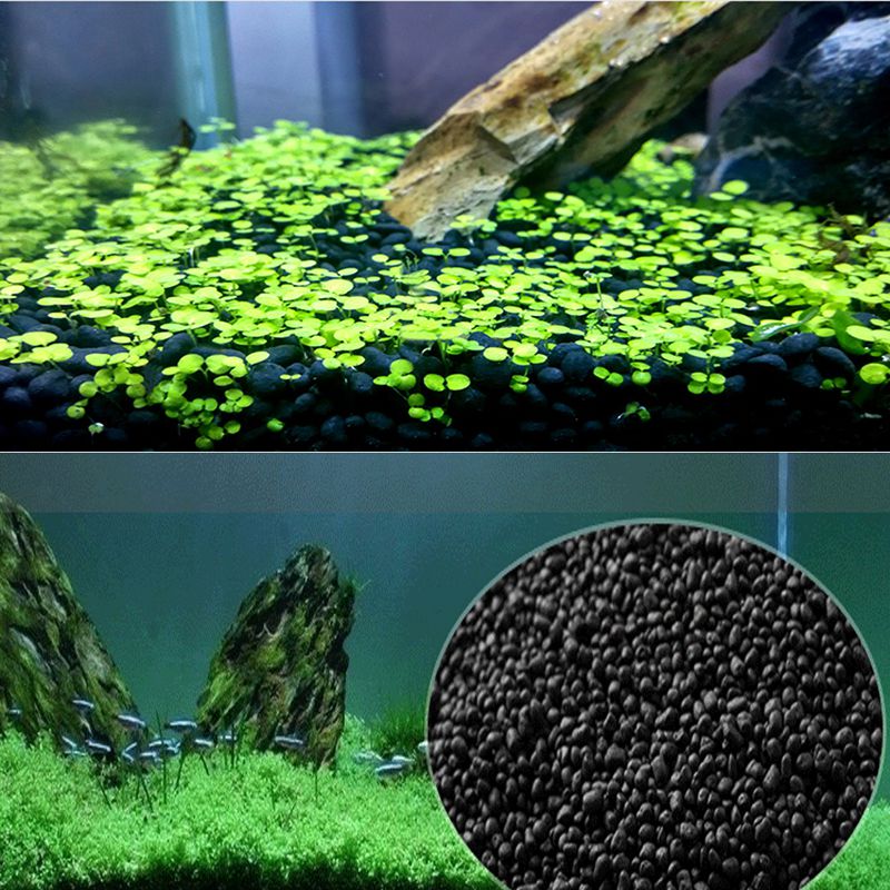 물고기 모래 Auarium 기판 100g 다육 식물을위 - Aquarium Planted Sand 리뷰 및 가격