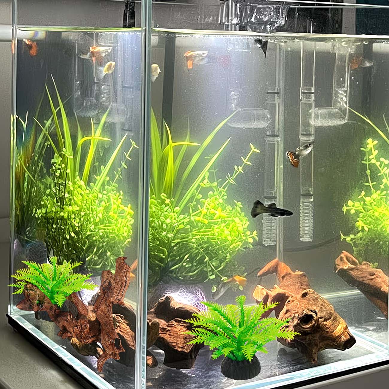 5-10CM 자연 침몰식 유목 수족관 장식물 어항 장식 - Aquarium Planted Substrate 리뷰 및 가격