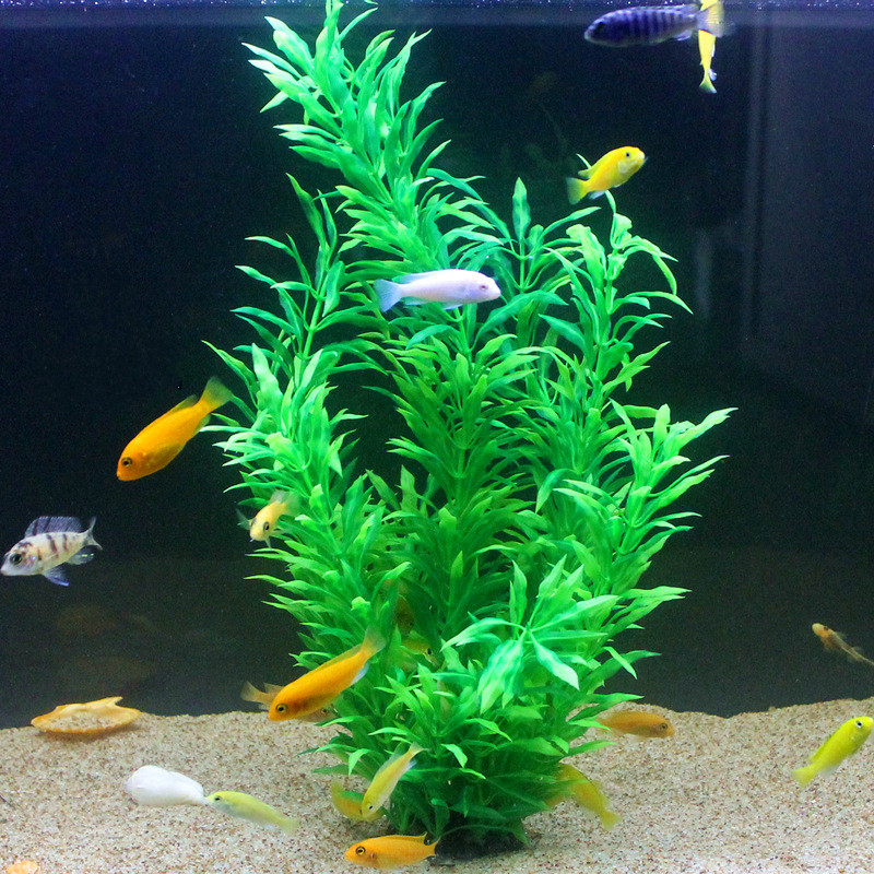 50CM 인조 어항 희귀 식물 수족관 가짜 대나무 잎  - Aquarium Plant Display 리뷰 및 가격