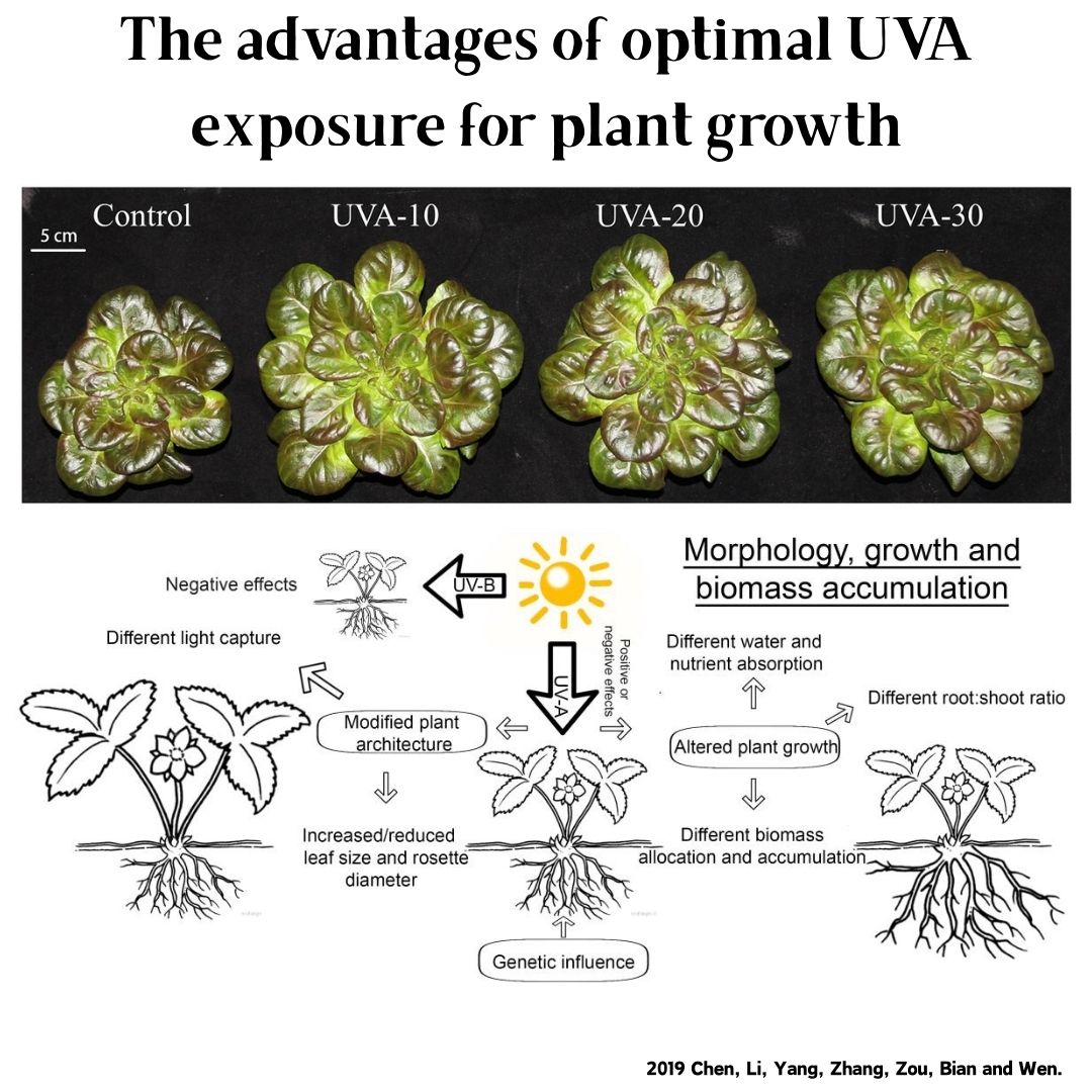 위크 아쿠아 M 시리즈 RGB+UV 수초등 블루투스 앱 - Planted Aquarium Uv Light 리뷰 및 가격