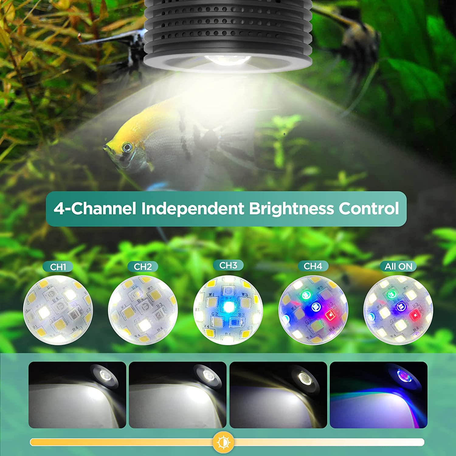 Lominie Asta 20 민물 18W RGBW+UV - Planted Aquarium Uv Light 리뷰 및 가격