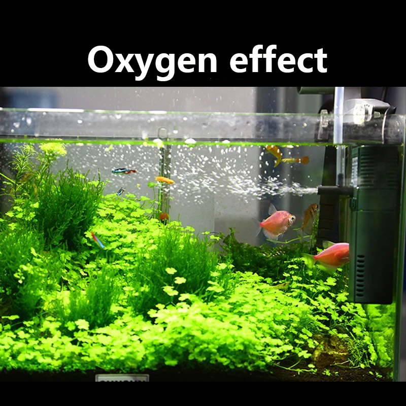 SUNSUN 미니 나노 수중 산소 펌프, 물고기 거북이 - Aquarium Planted Filter 리뷰 및 가격
